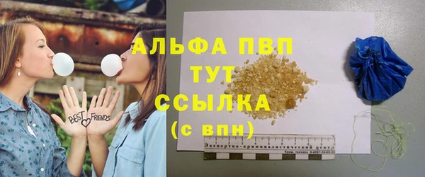 дживик Мегион