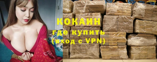 дживик Мегион
